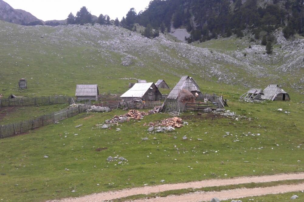 Katun Borova glava, Sinjajevina, UBistvo, Milojica Jokić, Milonja Jokić, Foto: Savo Prelević