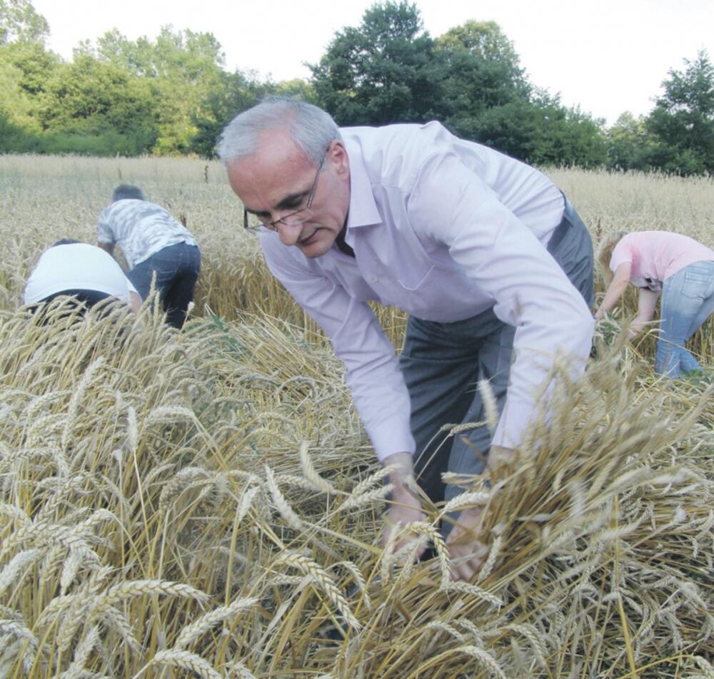 Tarzan Milošević