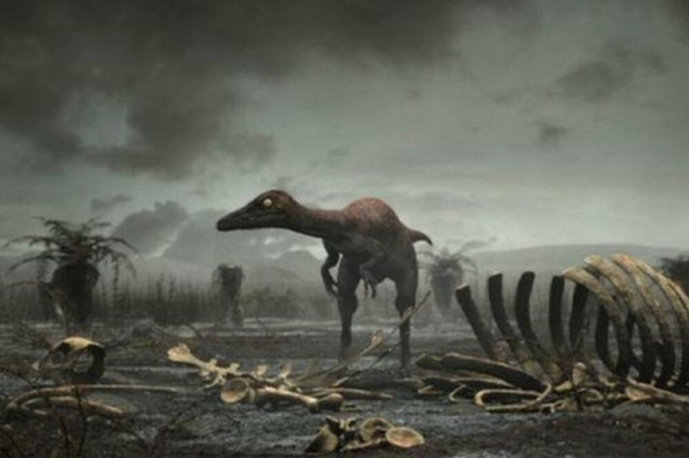 Dinosaurus, Foto: Bbc.co.uk