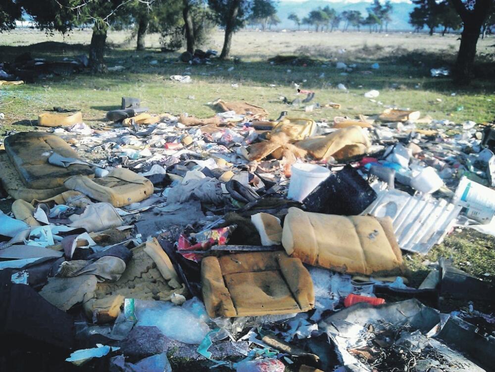 sječa, Ćemovsko polje