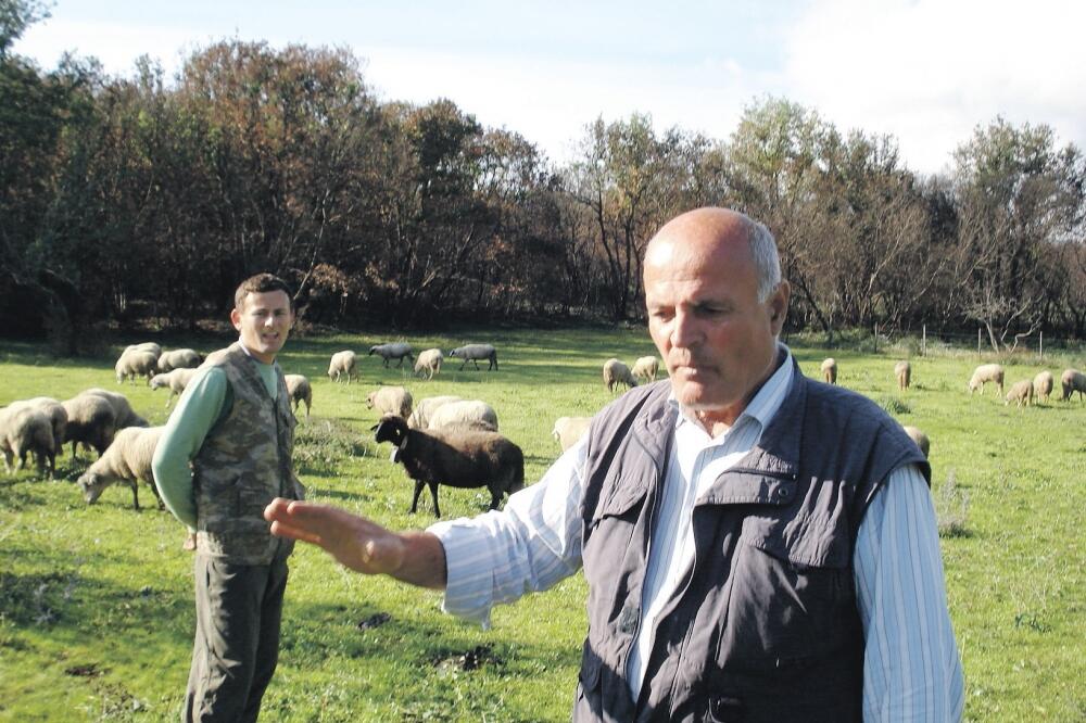 Hafiz Murić, Foto: Samir Adrović