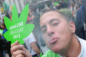 Urugvaj: Država nudi kvalitetnu marihuanu