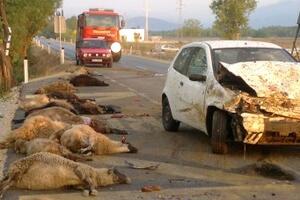 Od posljedica udesa, Raduloviću uginulo još devet životinja