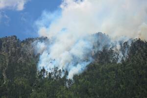 Požarima zahvaćeno 744 hektara šume