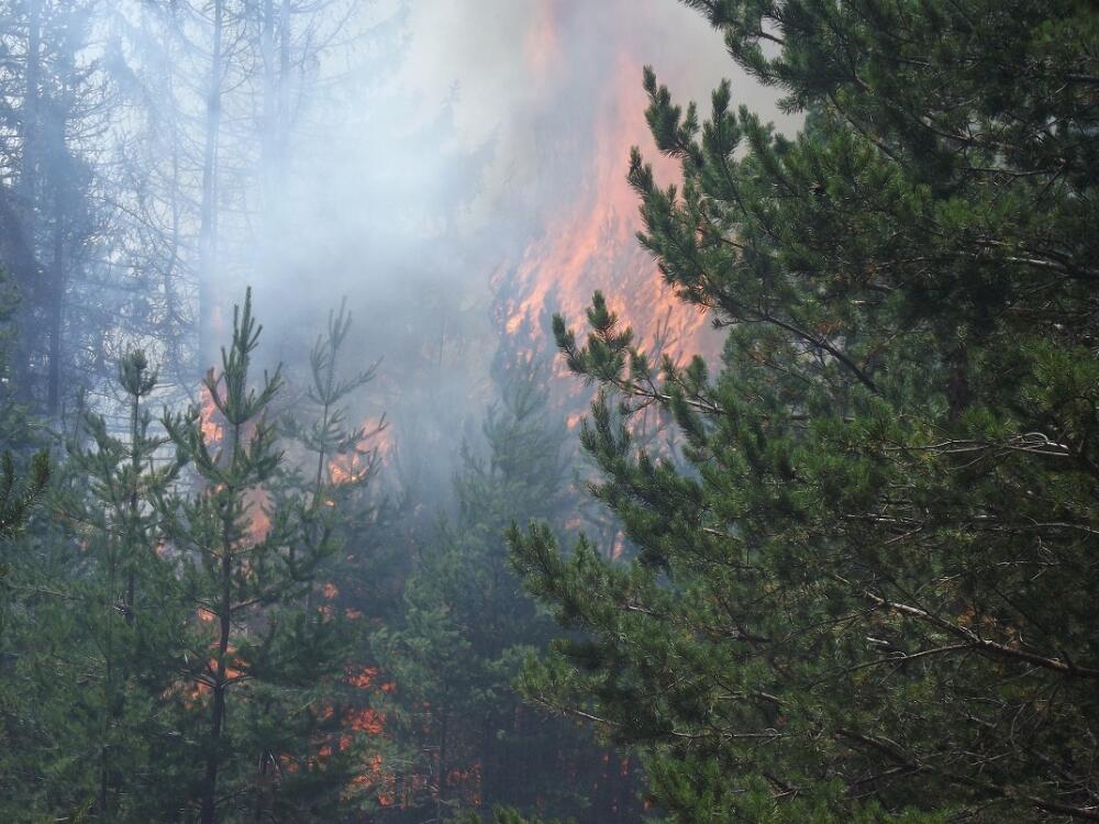 Pljevlja, požar