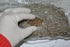 Policija na Kosovu zaplijenila 151 kg marihuane