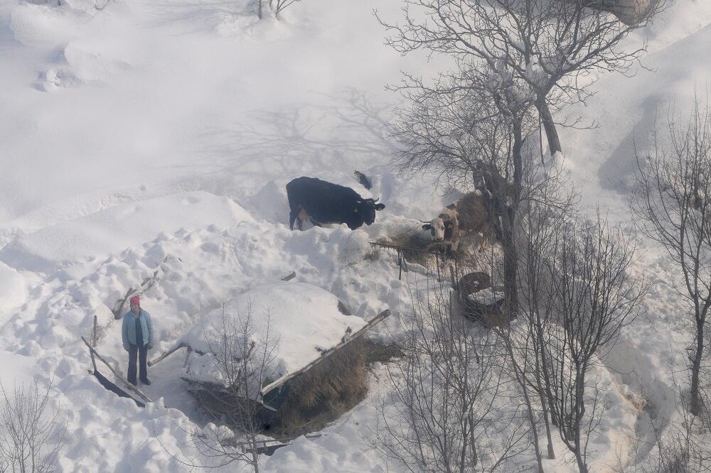 Cetinje, nevrijeme, Foto: Savo Prelević