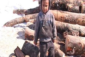 NVO "Adra" obezbijedila drva za ogrijev romskim porodicama u...