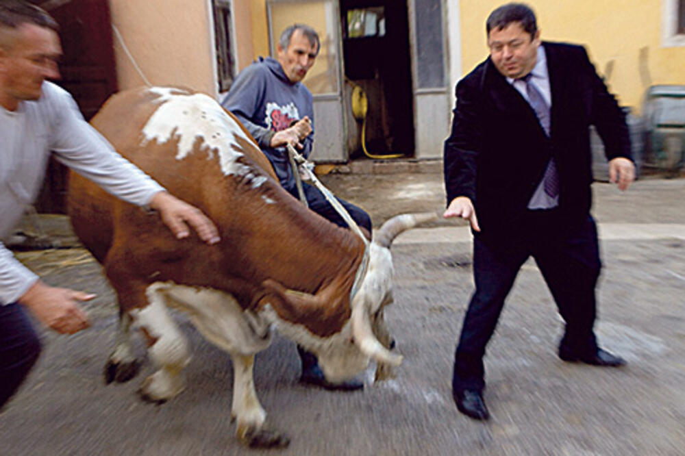 Petar Čobranković, Foto: Jutarnji.h