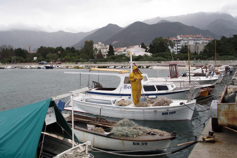 marina bar, Foto: Anto Baković