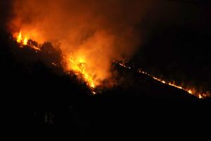 Gori Bijela gora, požar prijeti da ugrozi područje Valdanosa