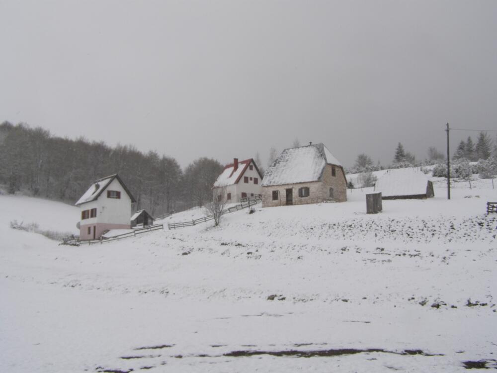 žabljak