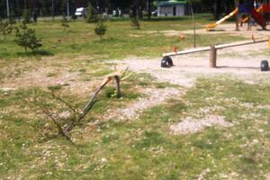 Podgorica: Vandali u parku u Bloku 6 lome drveće