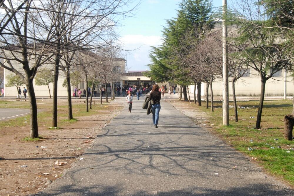 Radojica Perović, Foto: Zoran Đurić