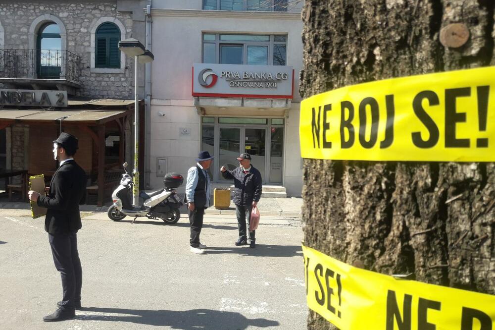 Aktivista Demokrata danas u Danilovgradu, Foto: Demokratska Crna Gora