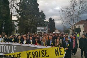 Demokrate, Demos i Crnogorska organizuju protest na Cetinju