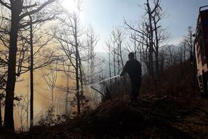 Proširio se požar u mjestu Seoce: Vatra zahvatila šumu i nisko...