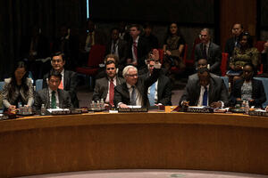SB UN: SAD na udaru kritika 14 članica zbog Golanske visoravni