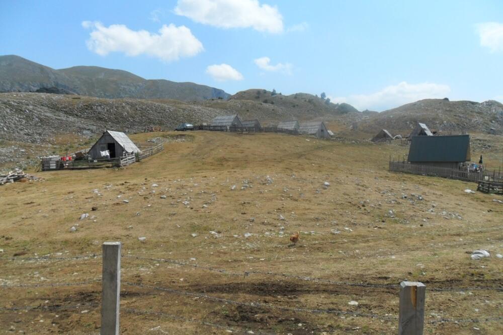 Katuni na Sinjajevini, Foto: Dragana Šćepanović