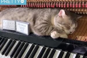 Jeste li znali da klavir može savršeno da masira?