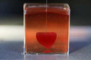 Pogledajte proces kreiranja: Ovako izgleda prvo 3D srce