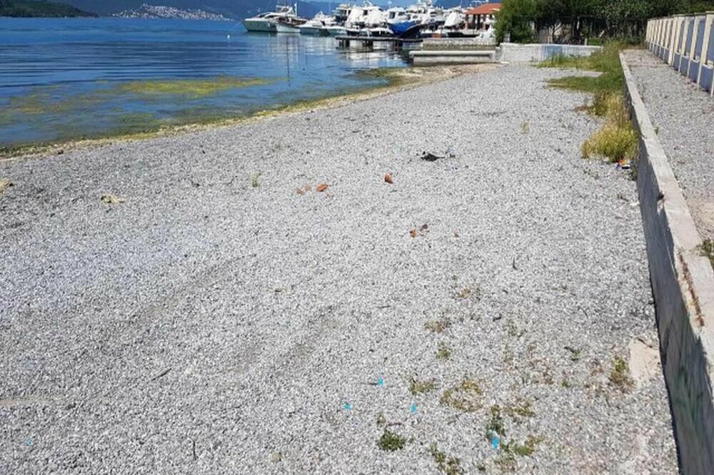 Bonići, Foto: Opština Tivat