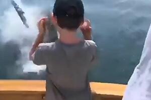 Ajkula skokom iz vode umalo povrijedila dječaka