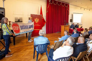 Aktivisti SOS za Montenegro na manifestaciji "Dani iseljenika"...