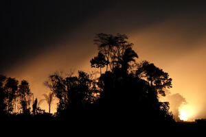 Zašto su požari u Amazoniji najvažniji događaj ovog ljeta?