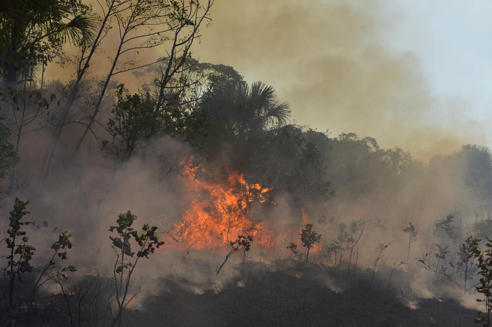 Požar u amazonskoj prašumi, Foto: Lucas Landau/Reuters