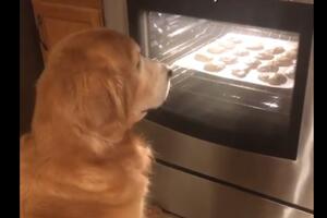 VIDEO Ono kad ne možeš dočekati da se ispeku kolači