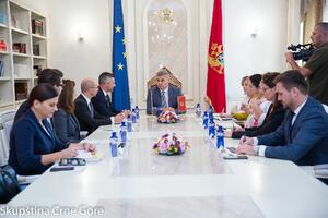 Brajović se sastao sa delegacijom Odbora za vanjsku politiku...