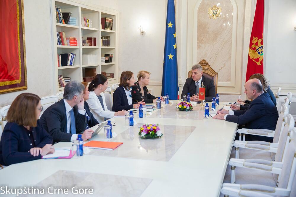 Brajović na sastanku sa delegacijom Nacionalne skupštine Francuske., Foto: Skupština Crne Gore