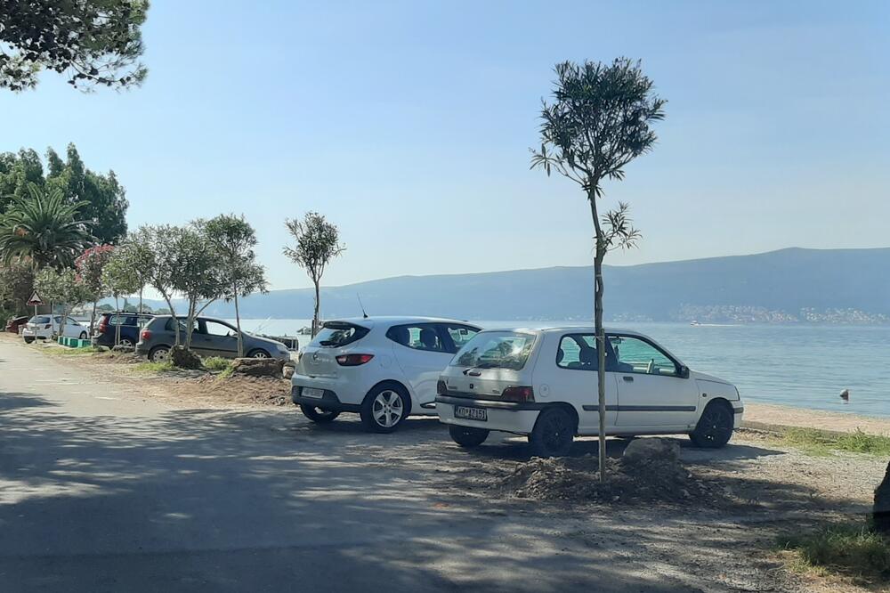 Dobra naplata boravišne takse: Tivat, Foto: Privatna arhiva