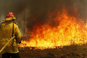 Australija: Vatrogasac optužen za podmetanje požara