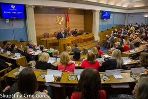 Zasjedanje Ženskog parlamenta: Crna Gora ne smije tolerisati...