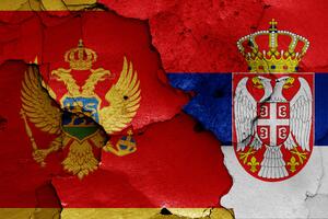 Uprava za dijasporu: Namjera zvanične politike Srbije je da...