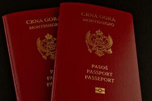 Napredak na listi: Crnogorski pasoš na 34. mjestu, bez vize u 123...