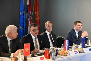 Grubišić: Crna Gora mora postati prva sljedeća članica EU