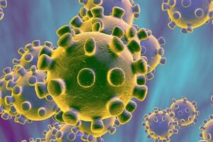 Prvi slučaj koronavirusa u Belgiji, zaraženi Belgijanac evakuisan...