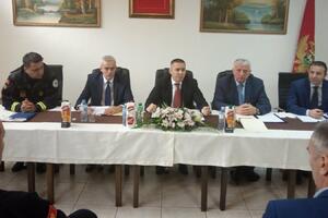 Veljović: Bezbjednosna situacija u državi je stabilna, incidenti...