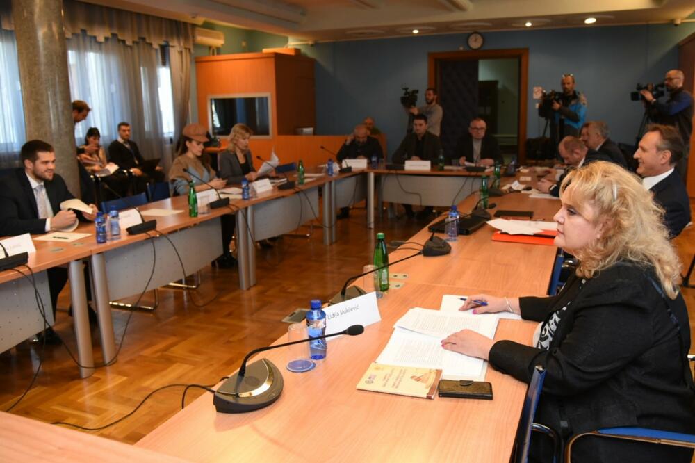 Sa sjednice Odbora za politički sistem, pravosuđe i upravu, Foto: Savo Prelević