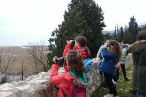 Na Skadarskom jezeru obilježen Svjetski dan vlažnih staništa