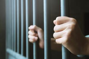 Berane: Pritvor do 30 dana osumnjičenom za dječiju pornografiju