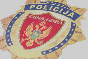Klikovac: Policija će održati javni red i mir u Nikšiću, neće...
