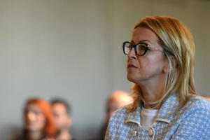 Ministarka Pribilović ćuti o kaznama i privilegijama
