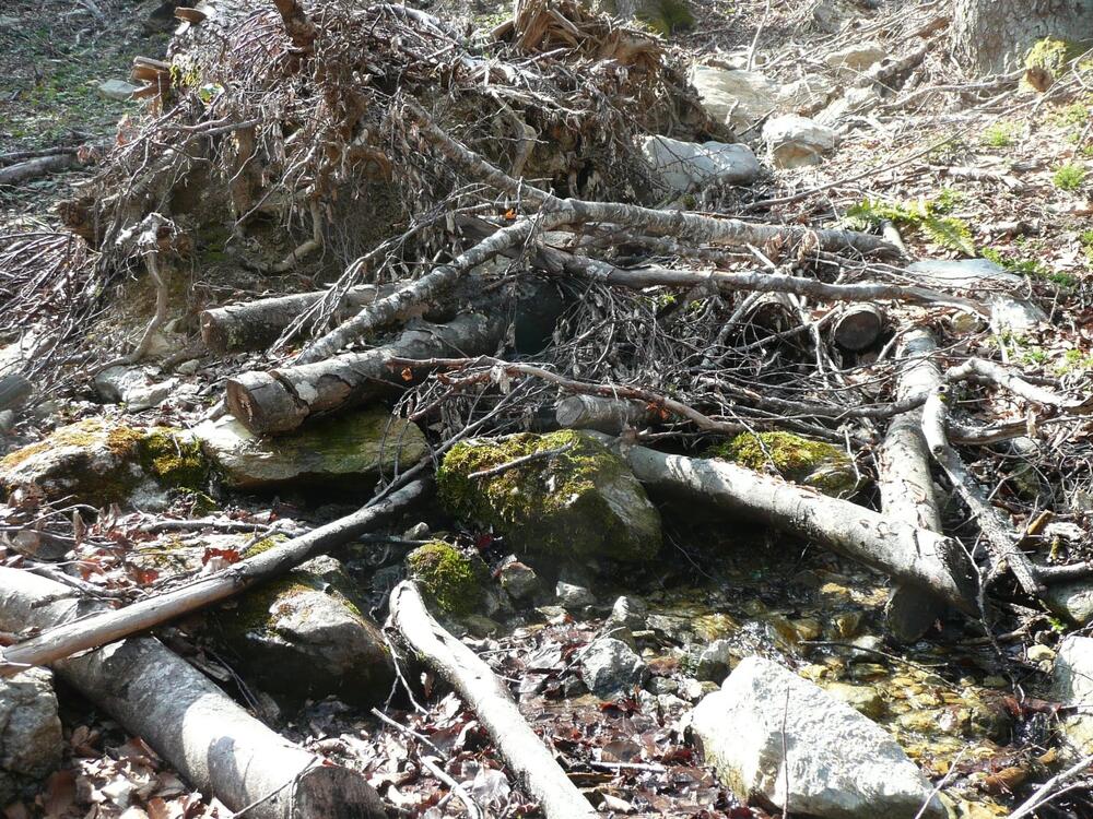 Koncesionari tokom sječe zatrpaju i izvore i godinama ih ne vraćaju u prvobitno stanje