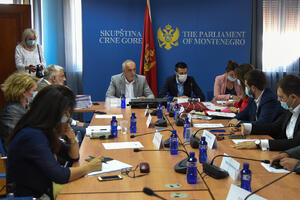 Članovi Odbora za antikorupciju iz DF dali ostavke: Vlada i DPS...