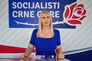 Jonica: Socijalna pravda zaboravljena riječ u Crnoj Gori,...