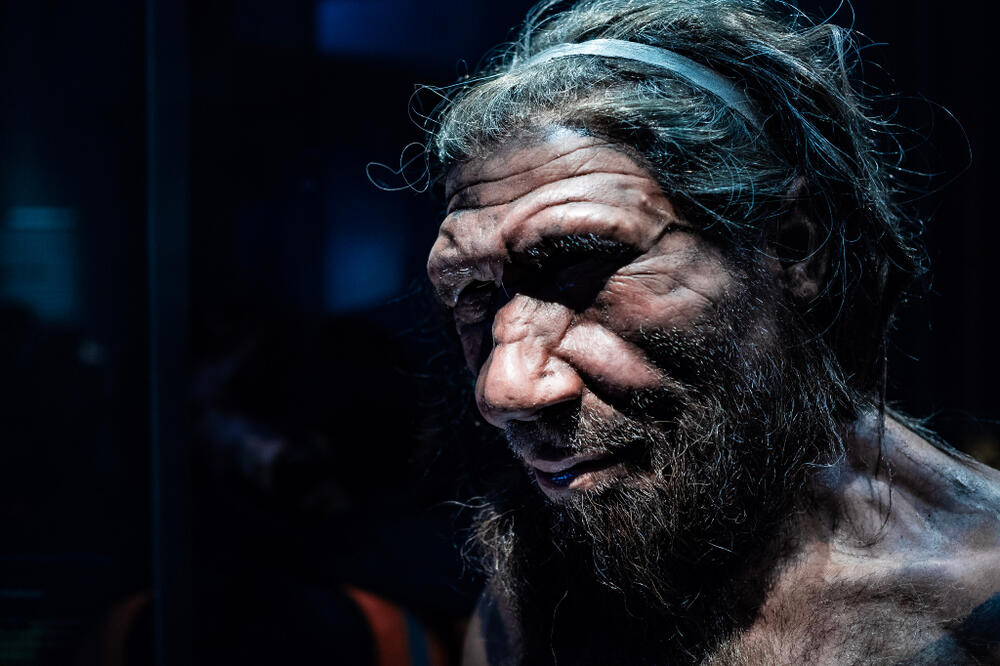 Replika glave neandertalca, Prirodnjački muzej u Londonu, Foto: Shutterstock